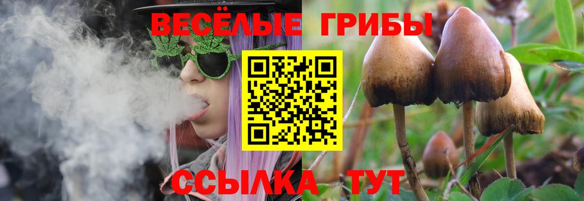 Галлюциногенные грибы Psilocybe  Вход с VPN  Мончегорск  Псилоцибиновые грибы Psilocybine cubensis 