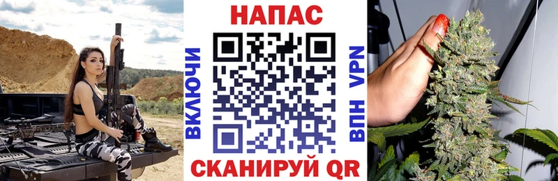 Канабис OG Kush  Мончегорск 
